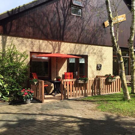 De Vier Berken 2 Bed & Breakfast เดอ คุก ภายนอก รูปภาพ